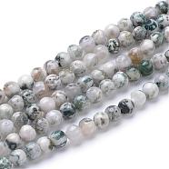 Natural Tree Agate Bead Strands, Round, 6mm, Hole: 1mm, about 70pcs/strand, 15.7 inch(G-R412-25-6mm)