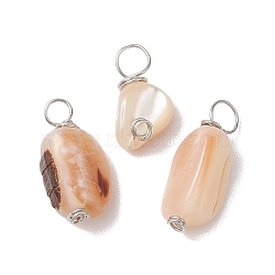 Natural Seashell Nuggets Charms, with Copper Wire Loops, Platinum, 7.5~11x6.5~8.5x3.5~7mm, Hole: 1.5~3.5mm(PALLOY-JF02841)