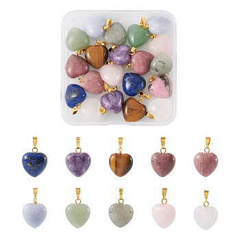 20Pcs 10 Styles Natural Mixed Gemstone Pendants, Heart Charm, with Golden Tone Brass Findings, 18x15~15.5x9.5~10mm, Hole: 6x3mm, 2pcs/style