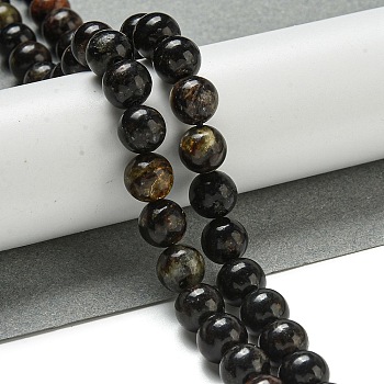 Natural Phlogopite Beads Strands, Round, 8mm, Hole: 1.2mm, about 51pcs/strand, 15.87''(40.3cm)