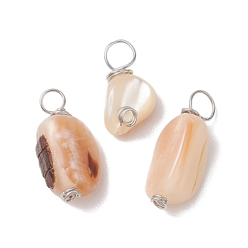 Natural Seashell Nuggets Charms, with Copper Wire Loops, Platinum, 7.5~11x6.5~8.5x3.5~7mm, Hole: 1.5~3.5mm