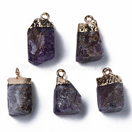 Natural Amethyst Pendants, with Golden Brass Findings, Rack Plating, Cube, 18~21x9~12x9~13mm, Hole: 1.6mm(G-Q998-035A)