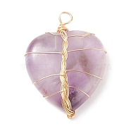 Natural Amethyst Pendants, with Light Gold Tone Copper Wire Wrapped, Heart, 38~41x30~31x9mm, Hole: 3~4mm(PALLOY-JF01653-05)