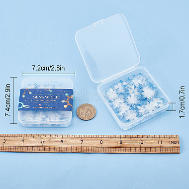 Pendentifs en acrylique imprimé transparent sunnyclue(TACR-SC0001-13)-7