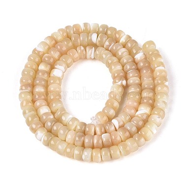 Natural Trochid Shell/Trochus Shell Beads Strands(BSHE-T014-54B)-2
