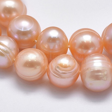 Natural Cultured Freshwater Pearl Beads Strands(PEAR-F007-06A-01)-3