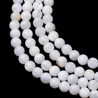 Natural Freshwater Shell Beads Strands(SH-CBA2978-07D-03)-2