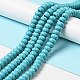 Synthetic Turquoise Beads Strand(TURQ-G109-10x6mm-06)-2