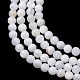 Natural Freshwater Shell Beads Strands(SH-CBA2978-07D-03)-2