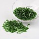 8/0 Glass Seed Beads(X-SEED-A005-3mm-27)-1