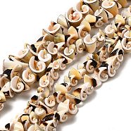 Natural Sea Shell Beads Strands, Spiral Beads, Random Style, Light Khaki, 7~14.5x5~12.5x3.5~13mm, Hole: 1.2mm, about 64~85pcs/strand, 15.75~15.94''(40~40.5cm)(BSHE-E026-14)