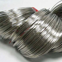 Steel Memory Wire, for Wrap Bracelets Making, Nickel Free, Platinum, 20 Gauge, 0.8mm, 60mm inner diameter, 1100 circles/1000g(TWIR-R006-0.8x60-P-NF)