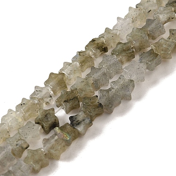 Natural Labradorite Beads Strands, Star, 4x4.5x2mm, Hole: 0.8mm, about 102pcs/strand, 15.35 inch(39cm)