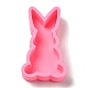 Easter Rabbit DIY Candle Silicone Molds(CAND-M001-01A)-2