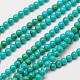 Brins de perles turquoises synthétiques importés(G-A130-2mm-L05-1)-2