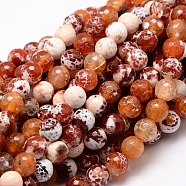 Dyed Natural Agate Faceted Round Beads Strands, Coral, 8mm, Hole: 1mm, about 48pcs/strand, 15.3 inch(X-G-E320C-8mm-06)