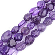 Natural Amethyst Beads Strands, Tumbled Stone, Nuggets, 5~13x5~10x3~8mm, Hole: 1mm, about 40~60pcs/strand, 14.57 inch~15.74 inch(37~40cm)(G-S359-160)