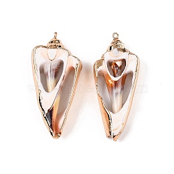 Natural Sea Shell Big Pendants, Shell Shaped Charms with Golden Tone Iron Loops, Seashell Color, 47~67x23.5~33x8~12mm, Hole: 1.2~1.8mm(SSHEL-N038-38B)