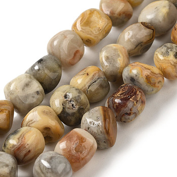 Natural Crazy Lace Agate Beads Strands, Nuggets, Tumbled Stone, 7~15x6~10x5.5~8mm, Hole: 1mm, about 47~49pcs/strand, 15.55~15.94 inch(39.5~40.5cm)