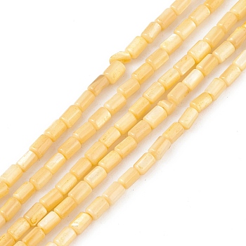 Natural Freshwater Shell Dyed Beads Strands, Column, Light Khaki, 4.8x3mm, Hole: 0.8mm, about 78pcs/strand, 14.96''(38cm)