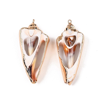 Natural Sea Shell Big Pendants, Shell Shaped Charms with Golden Tone Iron Loops, Seashell Color, 47~67x23.5~33x8~12mm, Hole: 1.2~1.8mm