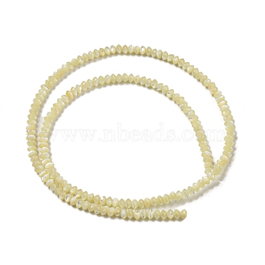 Natural Trochus Shell Rondelle Beads Strands(SSHEL-H072-01A)-2