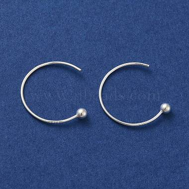 925 Sterling Silver Earring Hooks(STER-K177-01S)-2