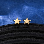 304 Stainless Steel Stud Earrings, Ion Plating(IP), Star, Real 18K Gold Plated, 5.5x6mm(EJEW-Z134-04G)