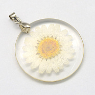 Alloy Resin Pendants, Flat Round, with Dried Flower inside, Platinum, Floral White, 32~32.5x4~4.5mm, Hole: 4x4mm(RESI-S321-07)
