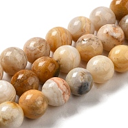 Natural Crazy Agate Beads Strands, Round, 8~8.5mm, Hole: 1.1mm, about 47pcs/strand, 15.08''(38.3cm)(G-H298-A12-03)