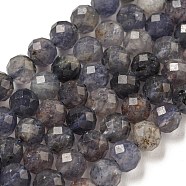 Natural Iolite Beads Strands, Faceted, Round, 5.5mm, Hole: 0.7mm, about 70pcs/strand, 15.20~15.35 inch(38.6cm)(G-J400-E05-02A)