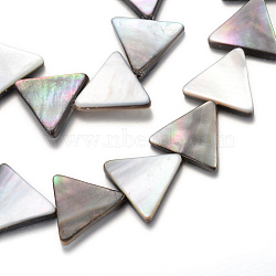 Natural Black Lip Shell Bead Strands, Triangle, Black, 15x17x3mm, Hole: 1mm, about 27pcs/strand, 15.7 inch(X-SHEL-R018-03)