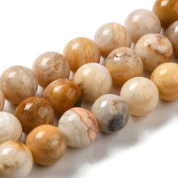 Natural Crazy Agate Beads Strands, Round, 8~8.5mm, Hole: 1.1mm, about 47pcs/strand, 15.08''(38.3cm)
