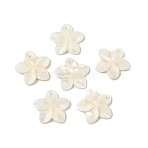 Natural Freshwater Shell Carved Pendants, Flower Charms, Antique White, 22.5x24x3mm, Hole: 1.4mm(SHEL-K006-59)