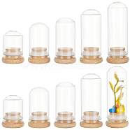 Elite 10Pcs 5 Style Transparent Glass Bottle, with Cork Plug, Refillable Cosmetic Bottle, Clear, 6.7x3.3cm, Capacity: 25ml(0.85fl. oz), 2pcs/style(AJEW-PH0011-40)