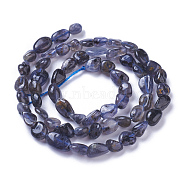 Natural Iolite Beads Strands, Tumbled Stone, Nuggets, 4~9x4~8mm, Hole: 1mm, about 58~60pcs/strand, 15.7 inch~16.1 inch(40~41cm)(G-P433-13)