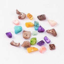 Natural Freshwater Shell Chips Beads, Shell Shards, Dyed, Mixed Color, 8~17x5~7x4~6mm, Hole: 1mm, about 640pcs/500g(BSHE-S007-M)