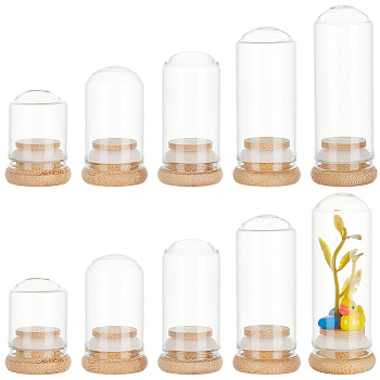 Elite 10Pcs 5 Style Transparent Glass Bottle, with Cork Plug, Refillable Cosmetic Bottle, Clear, 6.7x3.3cm, Capacity: 25ml(0.85fl. oz), 2pcs/style