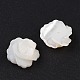 Natural White Shell Beads(SSHEL-C012-06)-2