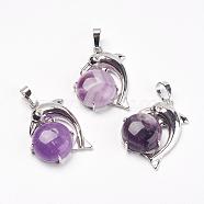 Natural Amethyst Pendants, with Brass Findings, Dolphin, Platinum, 30x23x8mm, Hole: 5x8mm(G-G713-A01)