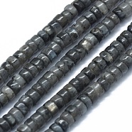 Natural Larvikite Beads Strands, Flat Round/Disc, 3.8~4.2x2~4.5mm, Hole: 0.8~1mm, about 152~180pcs/strand, 15.1~15.5 inch(38.5~39.5cm)(G-F631-A15)