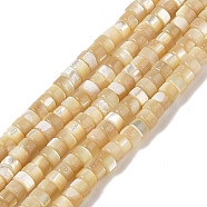 Natural Trochid Shell/Trochus Shell Beads Strands, Rondelle, PapayaWhip, 3.5~4x2~2.5mm, Hole: 0.9mm, about 69pcs/strand, 15.16~15.35''(38.5~39cm)(BSHE-H018-02)
