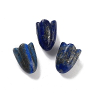 Natural Lapis Lazuli Beads, Flower, 15x12mm, Hole: 1.6mm(G-A222-03I)