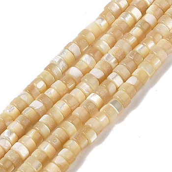 Natural Trochid Shell/Trochus Shell Beads Strands, Rondelle, PapayaWhip, 3.5~4x2~2.5mm, Hole: 0.9mm, about 69pcs/strand, 15.16~15.35''(38.5~39cm)