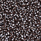 12/0 Two Tone Opaque Glass Seed Beads(SEED-T006-01A-A03)-2