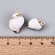 Electroplate Natural Sea Shell Pendants(BSHE-Q020-02)-4
