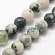Natural Tree Agate Beads Strands(G-N0192-01-3mm)-3