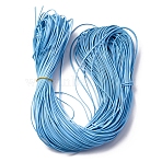 PU Leather Thread Cord, Flat, for DIY Jewelry Making, Deep Sky Blue, 2.5~3x1mm, about 107.17~109.36 Yards(98~100m)/Bundle(AJEW-R005-B01-03)