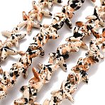 Synthetic Turquoise Beads Strands, Starfish, Spray Painted, Sandy Brown, 10x10x4mm, Hole: 1.3mm, about 55pcs/strand, 13.39''(34cm)(TURQ-F020-B01)