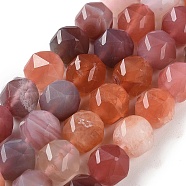 Natural Red Botswana Agate Beads Strands, Faceted, Double Hearted & Star Cut Beads, 8.5~10.5x9~10.5mm, Hole: 0.8mm, about 40~42pcs/strand, 15.43~15.94 inch(39.2~40.5cm)(G-NH0021-A30-02)